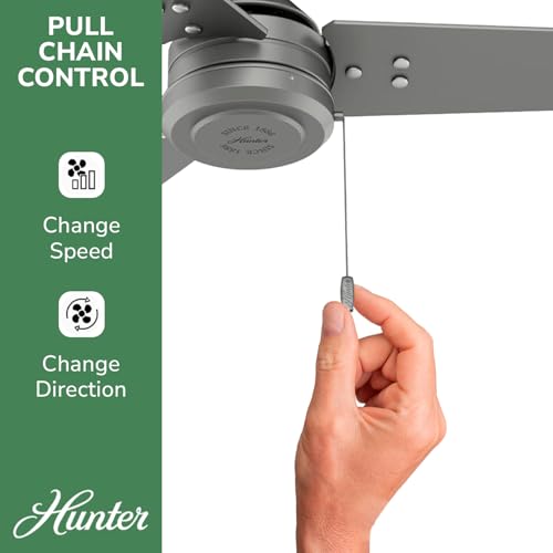 Image of Hunter Cassius, Outdoor or Indoor, Ceiling Fan, 44 inch, Matte Silver