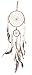 Traditional Beige Dream Catcher with Feathers Wall or Car Hanging Ornament 2 Round