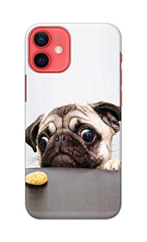 Image of PRINTFIDAA� Printed Hard Back Cover Case for Apple iPhone 12 | iPhone 12 Pro Back Cover (Pug Dog) -2808