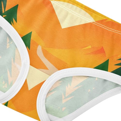 Girls Underwear Toddler 2t Cotton Panties for Girl Fancy Kids Briefs Undies Sunrise Orange Mountains4