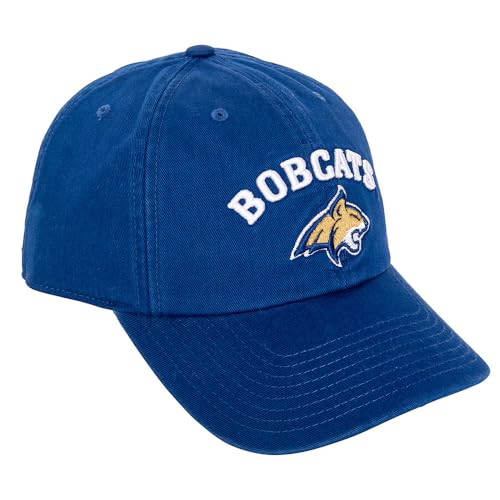 Gorra Blue Ajustable Bordada Adulto miniatura 1