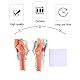 iplusmile Menschlichen Kehlkopf Modell Nasen Mundhöhle Kehle Nasopharynx Laryngopharyngeal Rachen Kehlkopf Anatomisches Modell Wissenschaft Medicalstudents Lehrmittel