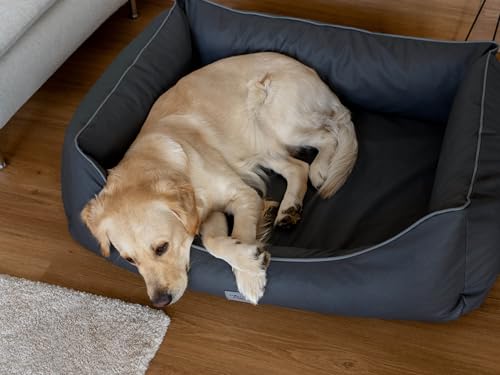 TrendPet Runa, Orthopädisches Kunstlederbett für Hunde, modisch in Kupfer und Grau (Grau, 100x75x30 cm)