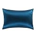 OOSILK Mulberry Charmeuse Silk Pillowcase with Zipper,19MM Queen 20in x 30in, Royal Blue,1pc