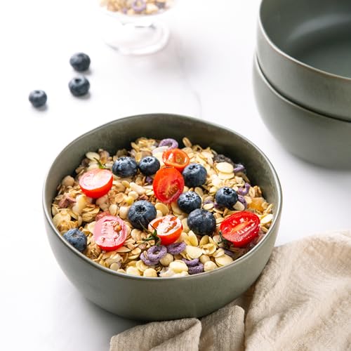 Amorarc ACB005 Stoneware Cereal Bowls For Kitchen, 28Oz Large Ceramic Soup Bowls Set Of 4 thumb #7