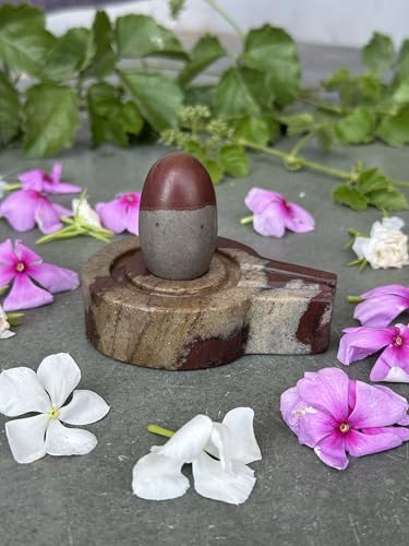 Image of Shivam VASTU AKAL 1.5 inch Original Narmadeshwar Narmada Shivling with 3 inch Narmada Stone Yoni Base Jaladhari (Mahamratunjay Shivling, Multicolor Flate Jaladhari)