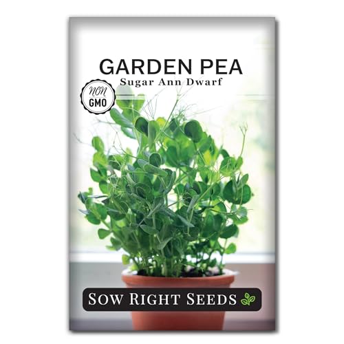 Sow Right Seeds - Sugar Ann Dwarf Pea Seed for