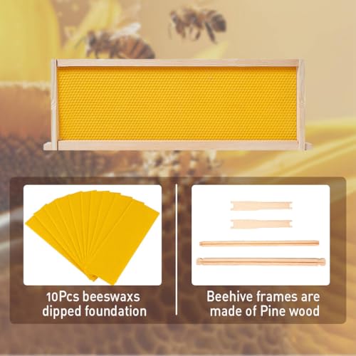 10 Frame Bee Hive, Compelte Bee Hive Starter Kit Includes 1 Deep Brood Honey Bee Hives Box, 1 Medium Super Bee Box with Beehive Frames and Foundation Sheets - Image 6