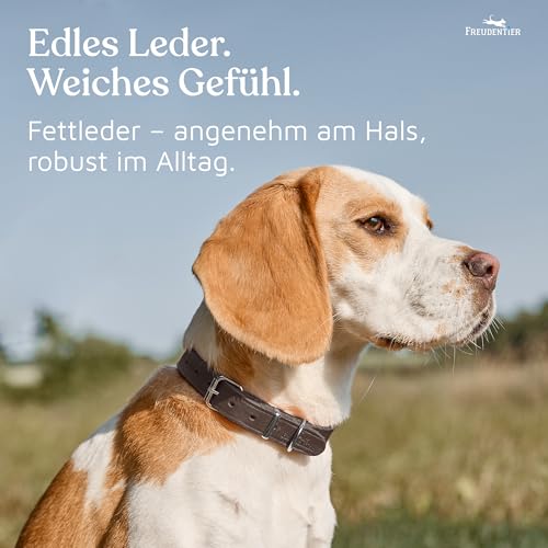 FREUDENTIER Hundehalsband Leder für kleine bis mittelgroße Hunde - Alsterufer Kollektion - Lederhalsband aus Fettleder - Handmade in EU (Chocolate, 33-44,5cm)