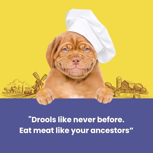 Image of Barkbutler x Dogfest Meat Sticks Duck, Dog Treat 45g| Protein Packed, Made with Natural Ingredients | 0% Artificial Flavours, Colours or Preservatives | Select Grade, for All Adult Breeds
