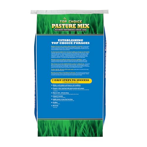 Forage Crop Seed Blends For Cattle Feed Temperate Climates