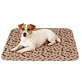 Dog Training Pee Pads - Indoor Absorbent Pads for Puppies Senior Dogs | Leak Resistant, Quick Dry Potty with Odor Lock Technology for Home, Apartment, and Travel Use 23.62x15.75x0.39 in