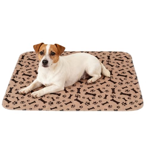 Dgayaeic Empapadores Absorbentes para Mascotas,Almohadilla Impermeable Y Absorbente - Alfombras De Secado Rápido,Destinado A Interior Y Exterior Suelo Entrenamiento De Cachorros Y Hacer Sus