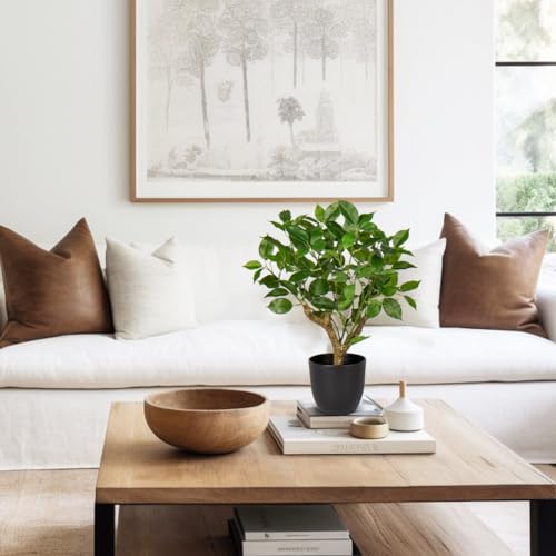 Briful 43CM Kunstpflanze Wie Echt Künstliche Ficus Pflanzen in Schwarzem Topf Dekopflanze für Fensterbank Wohnzimmer Badezimmer Dekoration – Bild 5