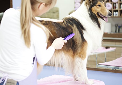 Hertzko-Bristle-Brush-For-Dogs-and-Cats-with-Long-or-Short-Hair-Dense-Bristles-Remove-Loose-Hair-from-Top-Coat-Removes-Tangles-Dander-Dust-Trapped-Dirt-and-Dead-Undercoat-Single-Sided