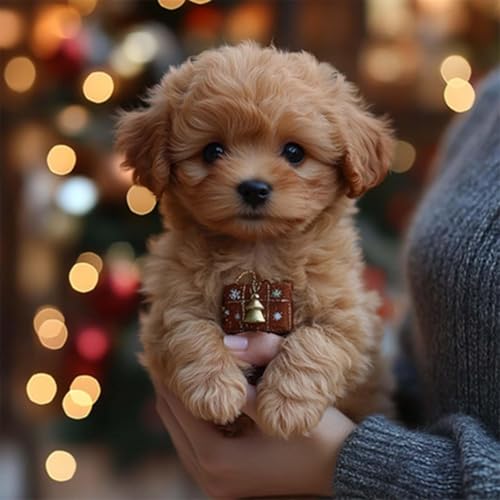 Ai Puppy Robot Roboterhund Mein realistischer Roboterwelpe Interaktives Roboterwelpenspielzeug Haustiergeschenk für Little Live Pets Kinder Erwachsene Realistischer Hund Interaktive Plüschroboterhunde