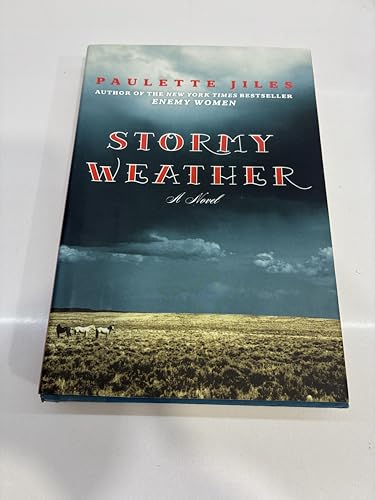 Stormy Weather: A Novel
