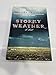 Stormy Weather: A Novel