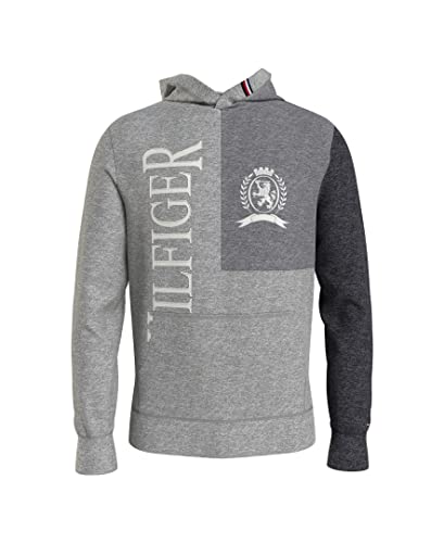 Image of Tommy Hilfiger Men's THD Hoodie Sweatshirt