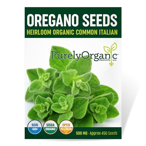 Organic Common Italian Oregano Seeds - USDA Organic, Non-GMO, Open Pollinated, Heirloom (1 Packet - 500 MG - Approx 450 Seeds)