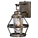 Vaxcel Bruges 1 Light Dusk to Dawn Bronze Industrial Cage Outdoor Wall Lantern Clear Glass