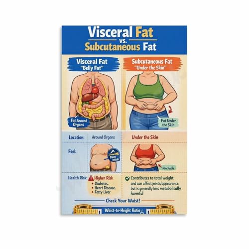 Visceral Fat Vs Subcutaneous Fat Poster Belly Fat Types Explained, Health Risk Chart Canvas for Living Room Bedroom Decor 12x18inch(30x45cm) Unframe-style