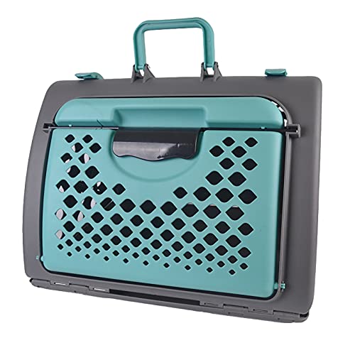 Sac à dos de transport pour chat et animal en plastique rigide et confortable