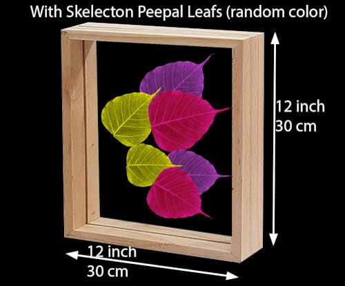 Image of Desi Rang Wooden Frame for Wall Decor Table top Hanging Any Green or dry plant Leaf Picture Photo DIY Gift Home decoration (Natural,Sqr,12x12 inch,with random peepal colored leaf)