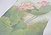 MELODY STORY Unique Print Silk Feeling Scarf For Women 63x20 Inches(green)