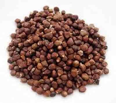 Grains of Paradise 25g - Aframomum melegueta