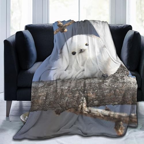 uPbg W킢  ѕz VO ѕz 킢  G| h g [ 􂦂 Ódh~ _炩G RۉH y jp k Q ԗp \t@[p ItBX o ȂǂɓKp a NX}X 60"