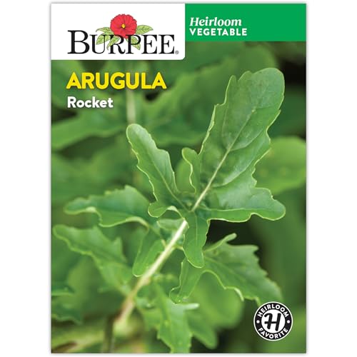Burpee Rocket Arugula Seeds - Fast-Growing, Peppery Salad Greens