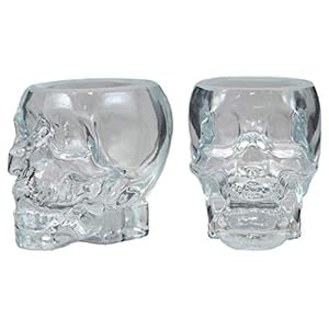Ebros Gift Set of 2 Clear Translucent Acrylic Skeleton Skull Face Whisky Vodka Scotch Liquor Shot Glass Shooters Alcoholic Beverage Glasses Halloween Skulls Macabre Pirate Fantasy Underworld Theme