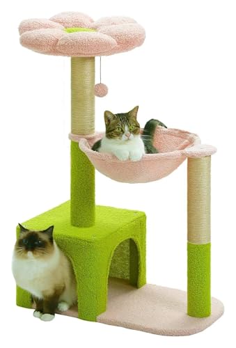 L؁A ؐLbgNC~Ot[AǍ^T{ec[A A݂(TD36 flower)