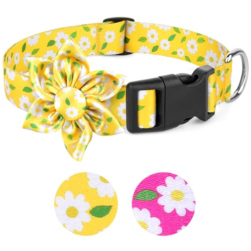 BiPawTi Collare per cani di piccola taglia, con decorazione floreale, per cani femmina, morbido collare per cani di piccola taglia, giallo con motivi floreali carino per ragazze e cuccioli (giallo, S)