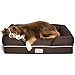 PetFusion Ultimate Dog Bed, Orthopedic Memory Foam, Multiple Sizes and Colors, Medium Firmness Pillow, Waterproof Liner, YKK Zippers, Breathable 35% Cotton Cover