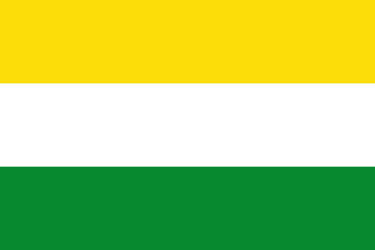 Drapeau XL Guacarí Valle del Cauca pavillon municipal colombien grand tissu
