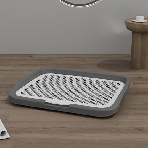 qgC Ch bVtgCg[ ybg//Lp  Q[W Č rg[jOpbhz_[ (O[,47x37cm)