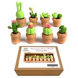 ✅【KIT PARA PRINCIPIANTES】 Si eres principiante, no te preocupes porque contiene un tutorial en inglés con pasos detallados y fotos de alta resolución que te ayudarán a lograrlo.