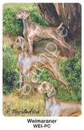 Best Friends Playing Cards, by Ruth Maystead - Weimaraners
