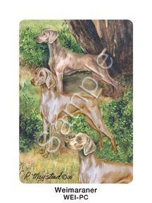 Best Friends Playing Cards, by Ruth Maystead - Weimaraners