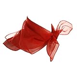 Sheer Red Scarf