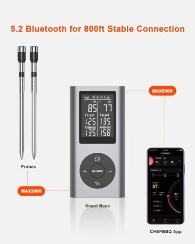 Image of Wireless Meat Thermometer Digital with 2 Probes