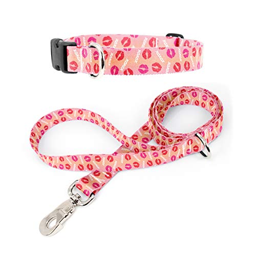 Tolt Supply Love and Kisses Dog Collar & Leash Set - Military Grade Rustproof Buckle, Extra Heavy Duty Quick Clasp - Made in The USA