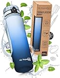 My Vesperbox – Minny - Kinder Trinkflasche auslaufsicher – 750ml – mit Strohhalm oder Sieb - BPA frei - für Kindergarten, Schule (750ml, Blauverlauf)