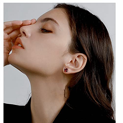 5 Pairs Colorful Screw Back Of Earrings Cz Titanium Studs For Women Men,20G 6Mm Surgical Steel Hypoallergenic Screw On Double Sided Barbell Stud Earring For Sensitive Ears (Red Cz) #TOP7