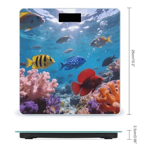 Báscula digital de baño con vidrio templado y pantalla LCD miniatura 2