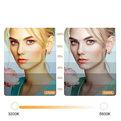 FACAZ Kamera Foto Video Beleuchtungsset 22 Zoll LED Ring Fülllicht Handy Live Support Selfie Beauty Ring Fotografie Foto… – Bild 6