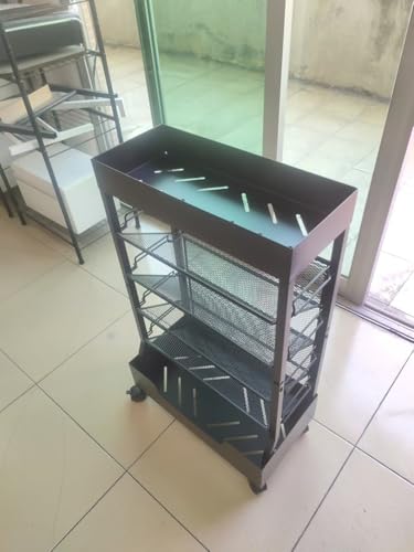 Ornestia 本棚 教科書 収納 書類 収納（qianghuise）