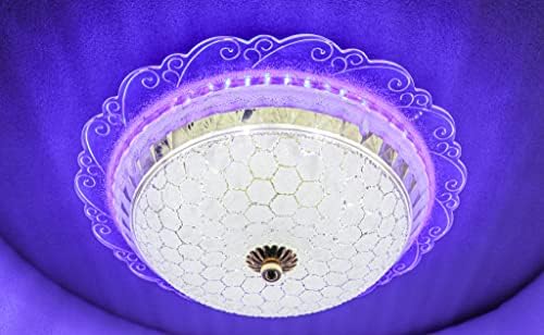 swanart Modern LED Chandelier for Living Room | Crystal Ceiling Light Fixture | Decorative Jhumar for Hall | Elegant Ceiling Light for Bedroom | Jhoomar Light for Home Decor